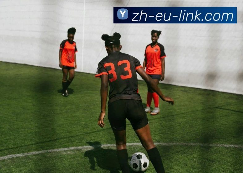 多媒体互动体验